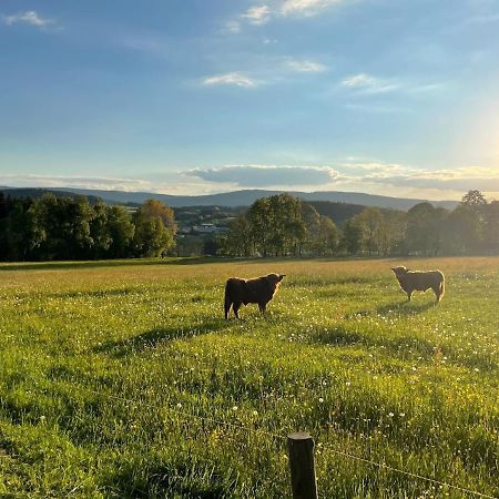 Apartmany Sumavanek Zdíkov エクステリア 写真